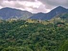 Land for Sale Hunnasgiriya