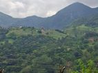 Land for Sale Hunnasgiriya