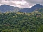 Land for Sale Hunnasgiriya