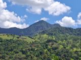Land for Sale Hunnasgiriya