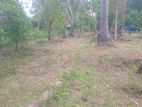 Land for Sale Ibbagamuwa