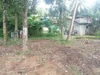 Land for Sale Ibbagamuwa