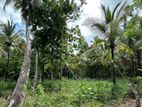 Land for Sale Ibbagamuwa
