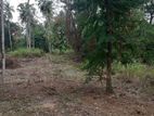 Land For Sale Ibbagamuwa Kurunegala