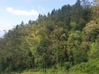 Land for Sale Idalgashinna