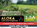 Land For Sale - ඉඩමක් විකිණීමට