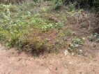 Land for Sale Idh