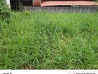 Land for Sale Idh Gotatowa