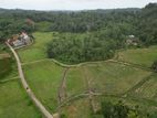 Land for Sale Imaduwa