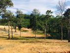 Land for Sale – Imaduwa, Galle (Limited 3 Blocks Left)