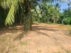 Land for Sale Imbulgoda Priyarathna Mawatha