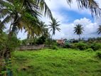 Land for Sale in 12 P Pamunugama