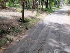 Land for Sale in 1.5km from Nittambhwa Town