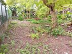 Land for Sale in Negombo