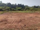 Land for Sale in A Prime Location Kuruwita