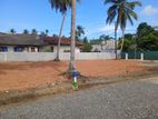 Land for sale in a prime location | Panadura Y31