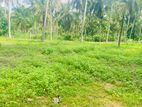 Land for Sale in a Prime Location Pannala