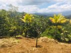 Land for sale In Abatenna