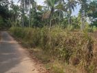 Land for Sale in Adiambalama