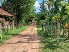 Land for sale in Adiambalama,Katunayake