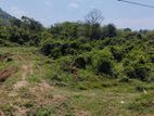 Land for Sale in Agalawatte