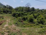 Land for Sale in Agalawatte