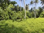 Land For Sale In Ahangama - CL894