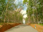 Land for Sale in Ahangama