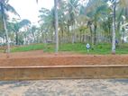 Land for Sale in Ahangama