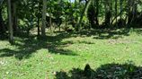 Land For Sale In Ahangama