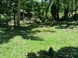 Land For Sale In Ahangama