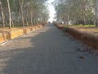 Land for sale in Ahangama