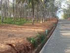 Land for Sale in Ahangama