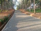 Land for sale in Ahangama