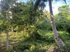 Land For Sale in Ahangama