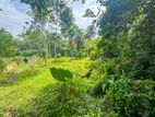 Land for Sale in Ahangama