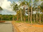 Land for sale in Ahangama