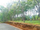 Land for Sale in Ahangama