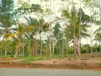 Land for Sale in Ahangama