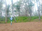 Land for Sale in Ahangama