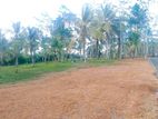 Land for sale in Ahangama