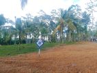 Land for Sale in Ahangama