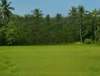 Land For Sale in Ahangama (SSPL- 184)