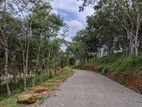 Land for sale in ahangama tourism area