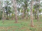 Land for Sale in Ahangama Tourism Area