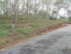 Land for Sale in Ahangama Tourism Area
