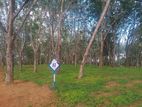 Land for Sale in Ahangama Tourism Area