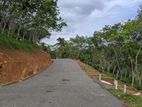 Land for Sale in Ahangama Tourism Area