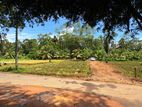 Land for sale in Ahangama tourist area (SSPL-114)