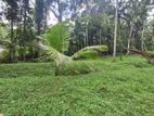 Land for Sale in Ahugammana, Delgoda.
